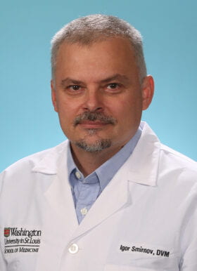 Igor Smitnov, DVM